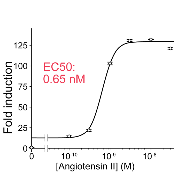 Tanso Biosciences custom assay.