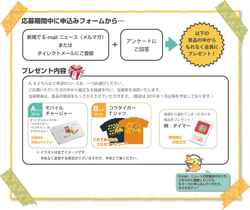 応募方法およびプレゼント内容