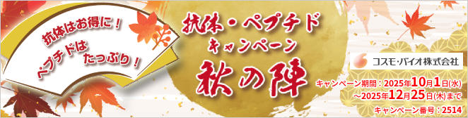 ŔEyv`h@H̐w@Ly[@ԁF2025N1225i؁j܂