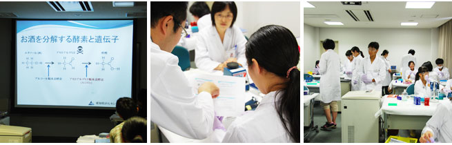 DNAの一部をPCR法で増幅しよう!