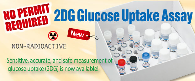 2DG Glucose Uptake Assay
