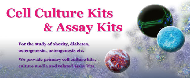 Cell-Culture-Kits