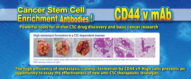 Cancer Stem Cell Enrichment!