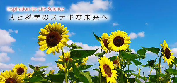 研究用試薬・受託解析・機器の販売 コスモ・バイオ株式会社