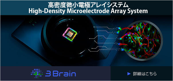 3brain