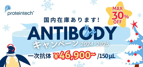 �v���e�C���e�b�N�� �ꎟ�R��25���`30%�I�t�L�����y�[�� 2024-2025