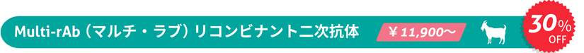 Multi-rAbi}`Eujg񎟍Ŕ@30%OFF