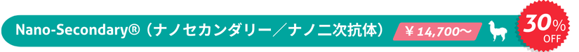 Nano-Secondary(R)iimZJ_[^im񎟍Ŕj