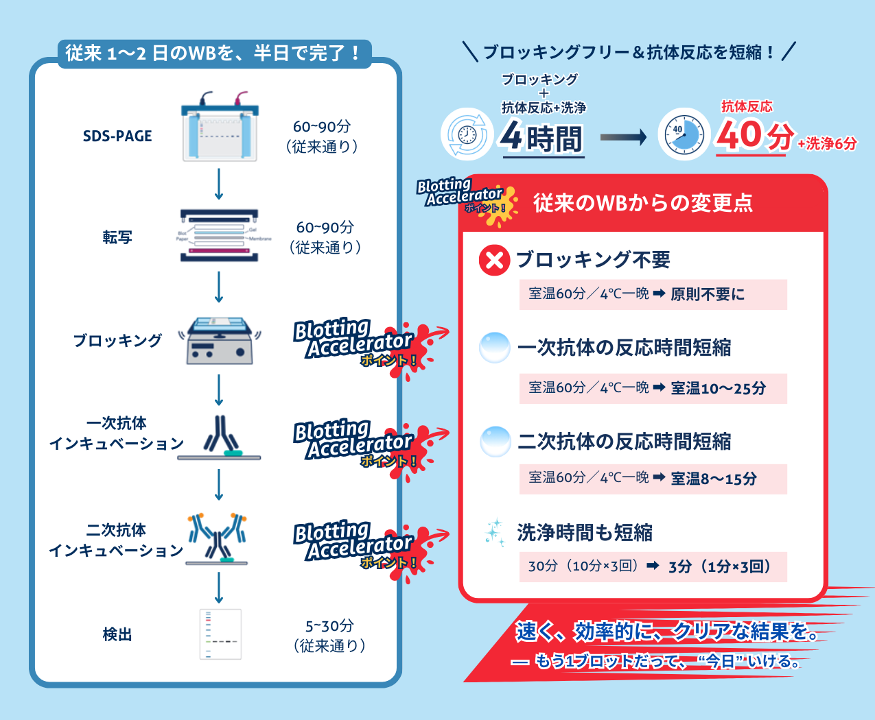 �u���b�L���O�t���[���R�̔�����Z�k�I�R�̔���40���{���6��