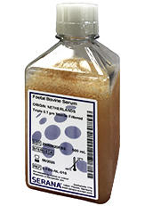 Fetal Bovine Serum Netherlands Origin