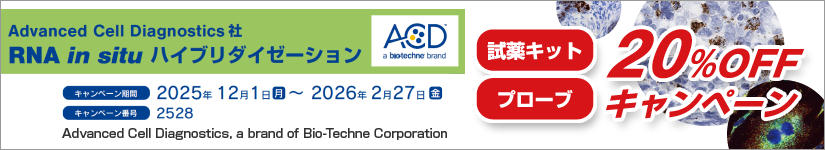 RNA in situ nCu_C[[V LbgAv[u20%OFF Ly[@ԁF2026N227()܂