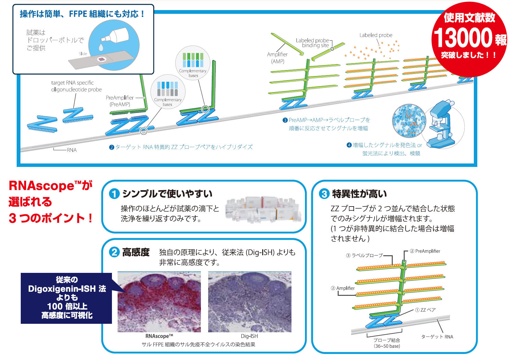 使用文献数 9600報 突破しました! 操作は簡単、FFPE組織にも対応。 RNAscope(TM)が選ばれる3つのポイント!1.シンプルで使いやすい 2.高感度 3.特異性が高い