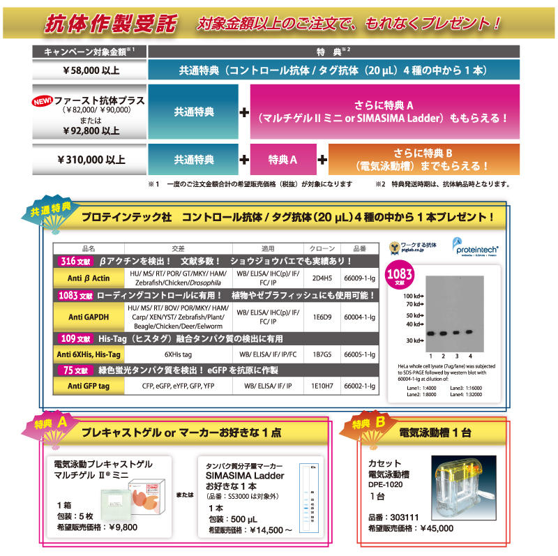 「抗体作製受託サービス秋のプレゼントキャンペーン」の内容