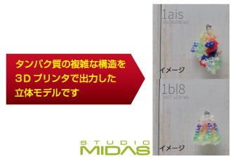 2. タンパク質 3D モデルプレゼント!