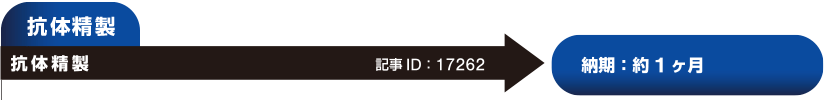 R̐