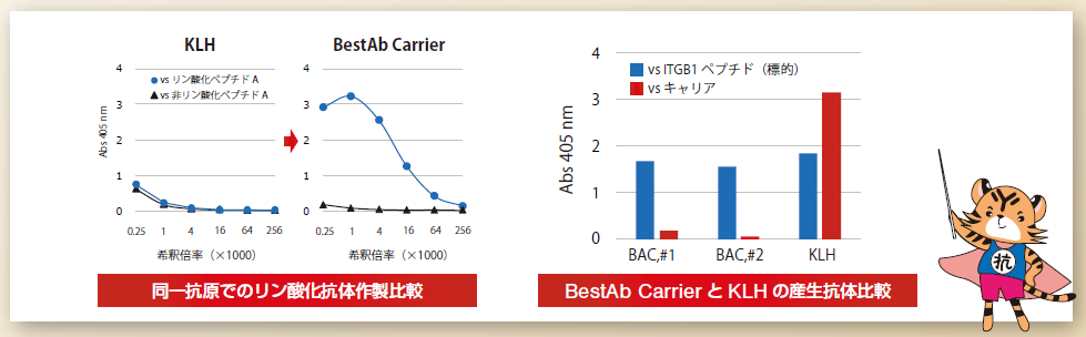 ����R���ł̃����_���R�̍쐻��r�@BestAb Carrier ��KLH�̎Y���R�̔�r