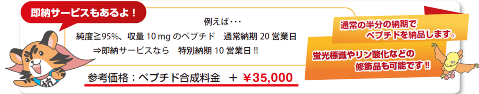 通常の半分の納期でペプチドを納品します。蛍光標識やリン酸化などの修飾品も可能です!