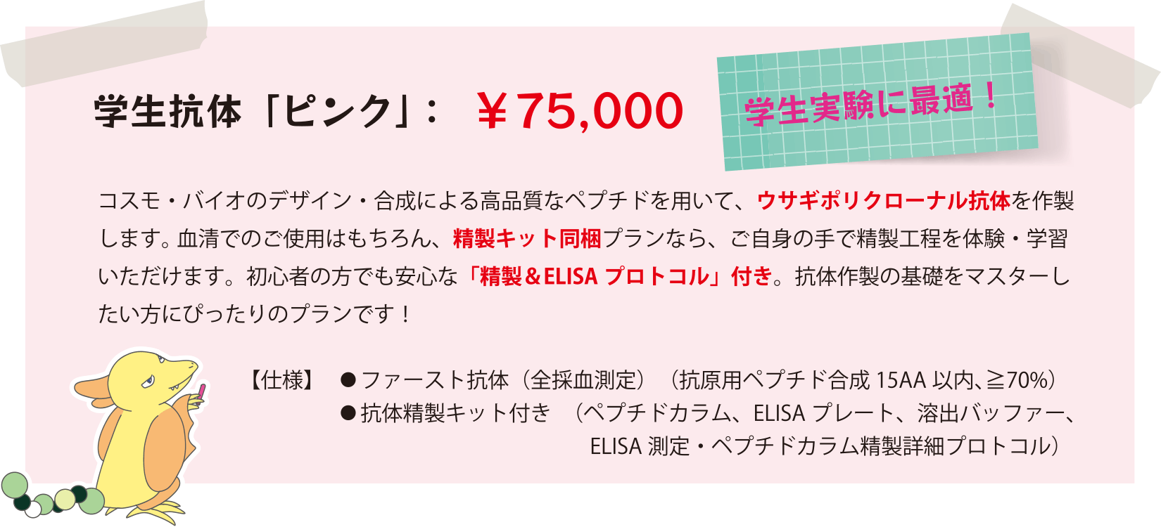 学生抗体「ピンク」プラン:抗体作製の基礎をマスターしたい方にぴったりのプランです!