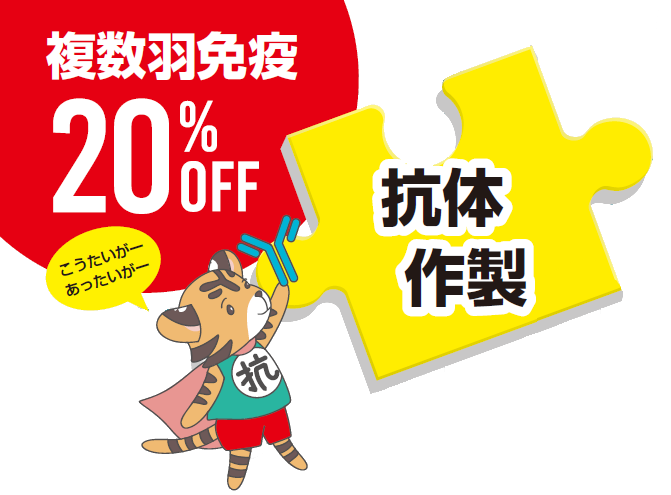 �R�̍쐻�@�����H�Ɖu20%OFF