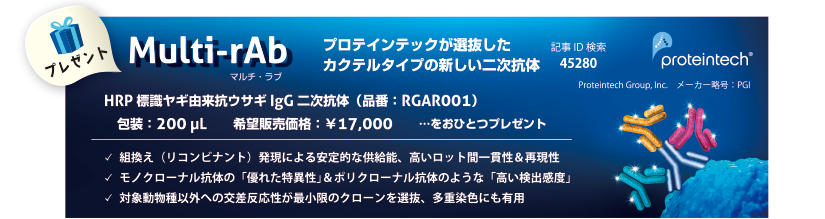 HRP WMRRETMIgG 񎟍ŔiiԁFRGAR001jF200 L ЂƂv[g