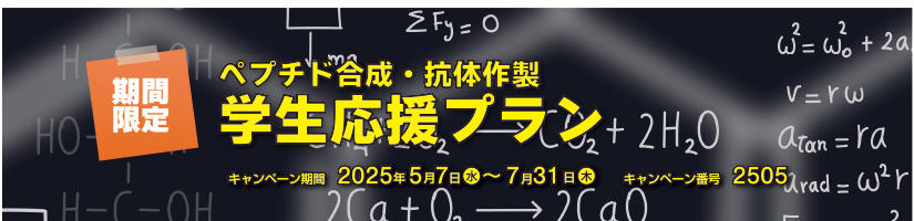 Ԍ yv`hER̍쐻 wv@Ly[ԁF2025N731i؁j܂