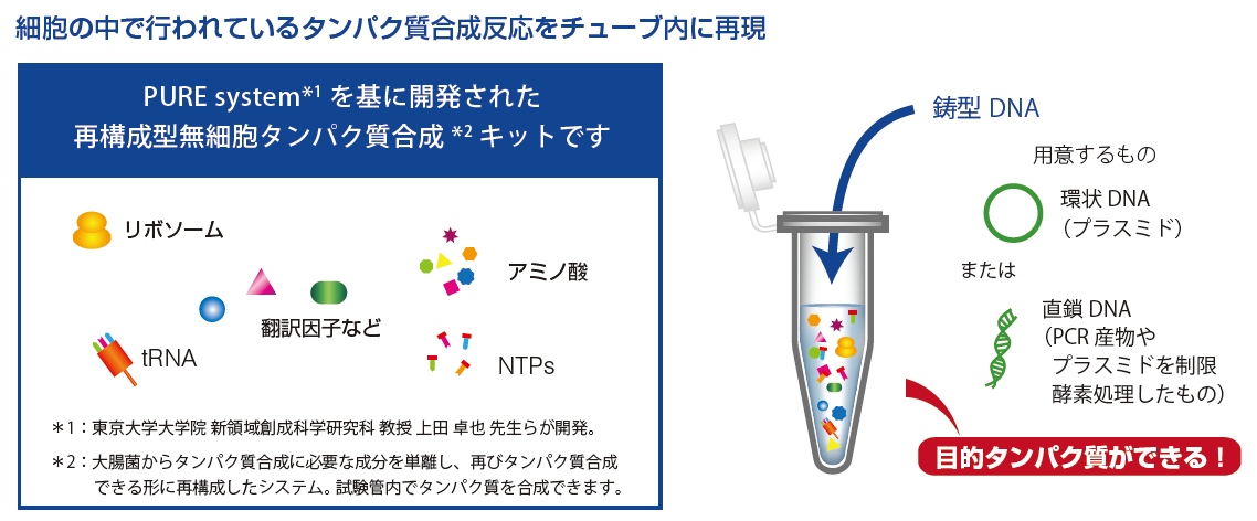 זE̒ōsĂ^pN`[uɍČ@PURE system ɊJꂽč\^זE^pNLbgł