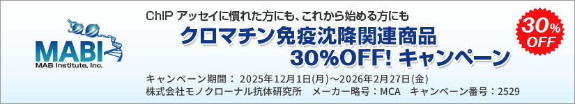 N}`Ɖu~֘Ai30OFF!Ly[@ԁF2026N227ij܂