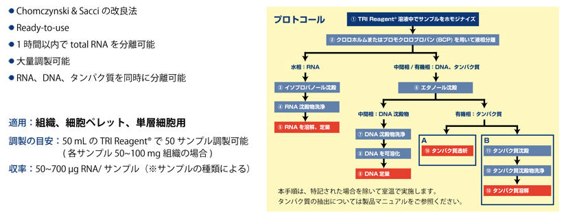 侵略 倒産 アミューズメント イソプロパノール 沈殿 プロトコル Css Space Jp 侵略 倒産 アミューズメント イソプロパノール 沈殿 プロトコル Css Space Jp