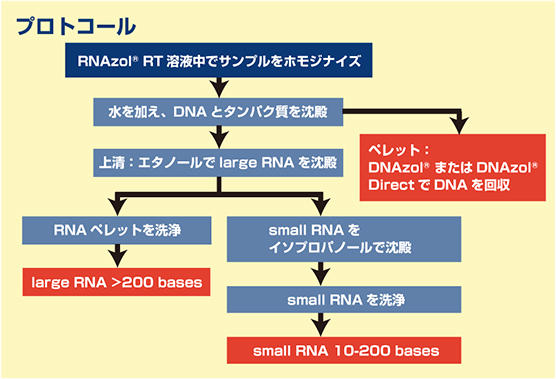 RNA 抽出試薬RNAzol（R） RT Reagentのプロトコール