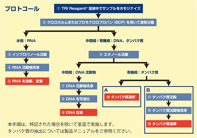 Tri-Xtract?RNA抽出試薬 フェノール法 1セット 2本入