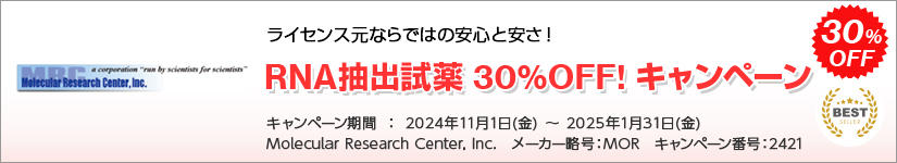 RNAo 30%OFF Ly[@ԁF2025N131()܂