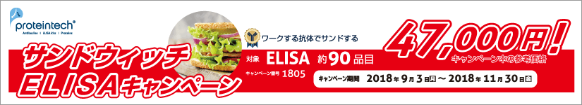 サンドウィッチELISA ¥47,000キャンペーン(期間:2018年11月30日まで)