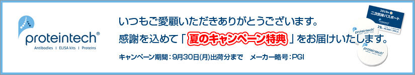プロテインテック 夏の特典キャンペーン 期間:2019年8月30日(金)まで