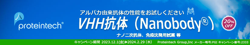 veCebN ApJRVHH20%OFFLy[@ԁF2024N229i؁j܂