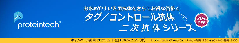 veCebN ^O^Rg[ŔA񎟍R20%OFFLy[@ԁF2024N229i؁j܂
