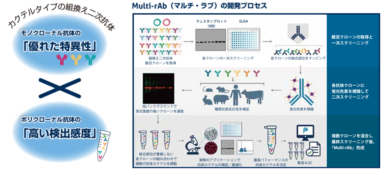 Multi-rAbi}`Euj̊JvZX