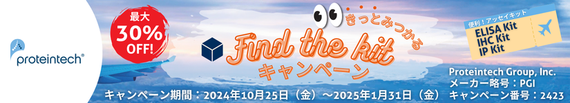 veCebN Find the kitLy[@ԁF2025N131ij܂