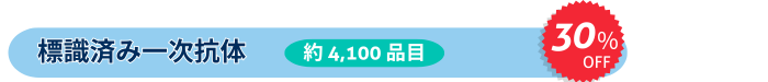 Wς݈ꎟŔ@4,100iځ@30%OFF