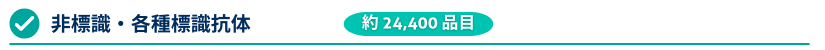 WEeWŔ@24,400i