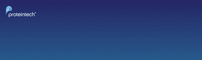 CtTCGXxAIc[uAbleiG[ujv