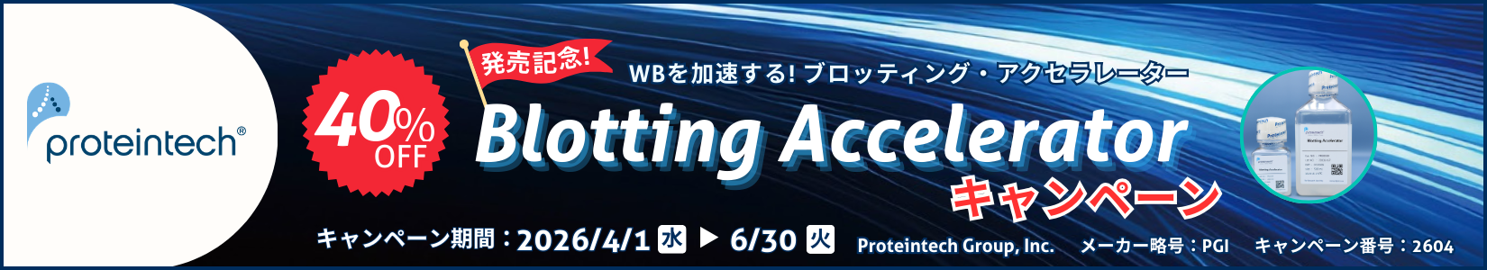 Blotting Accelerator 40%OFF�L�����y�[�� ���ԁF2026�N6��30���i�΁j�܂�