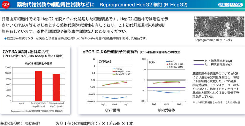 薬物代謝試験や細胞毒性試験などに Reprogrammed HepG2 細胞 (R-HepG2)