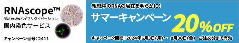 2024N63()`2024N830() ܂