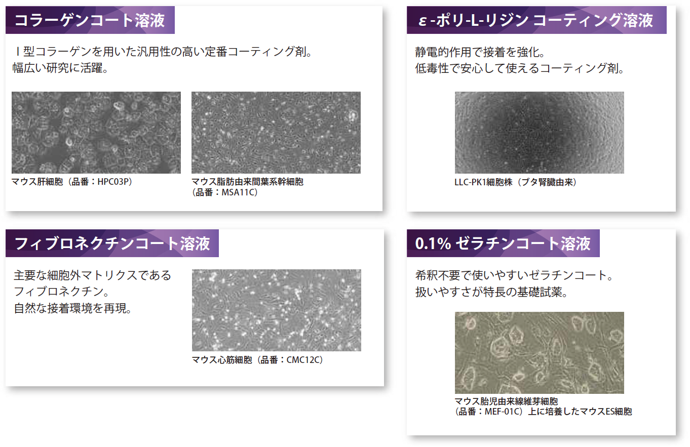 R[QR[gnti?^R[Qpėp̍ԃR[eBO܁jA-|-L-W R[eBOntiÓdIpŐڒjAtBulN`R[gntiזEO}gNXjA0.1 [`R[gntiߕsvj