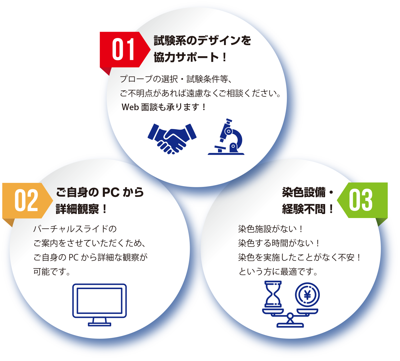 プローブの選択・試験条件等をサポート。染色設備・経験不問!