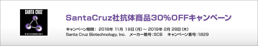 SantaCruz社抗体商品30%OFFキャンペーン 期間:2019年2月28日(木)まで