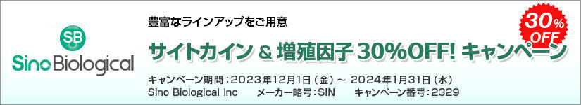 TCgJC  Bq 30%OFF Ly[@ԁF2024N131()܂
