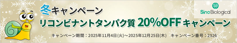 ~Ly[ Rrig^pN@20OFF@ԁF2025N1225i؁j܂