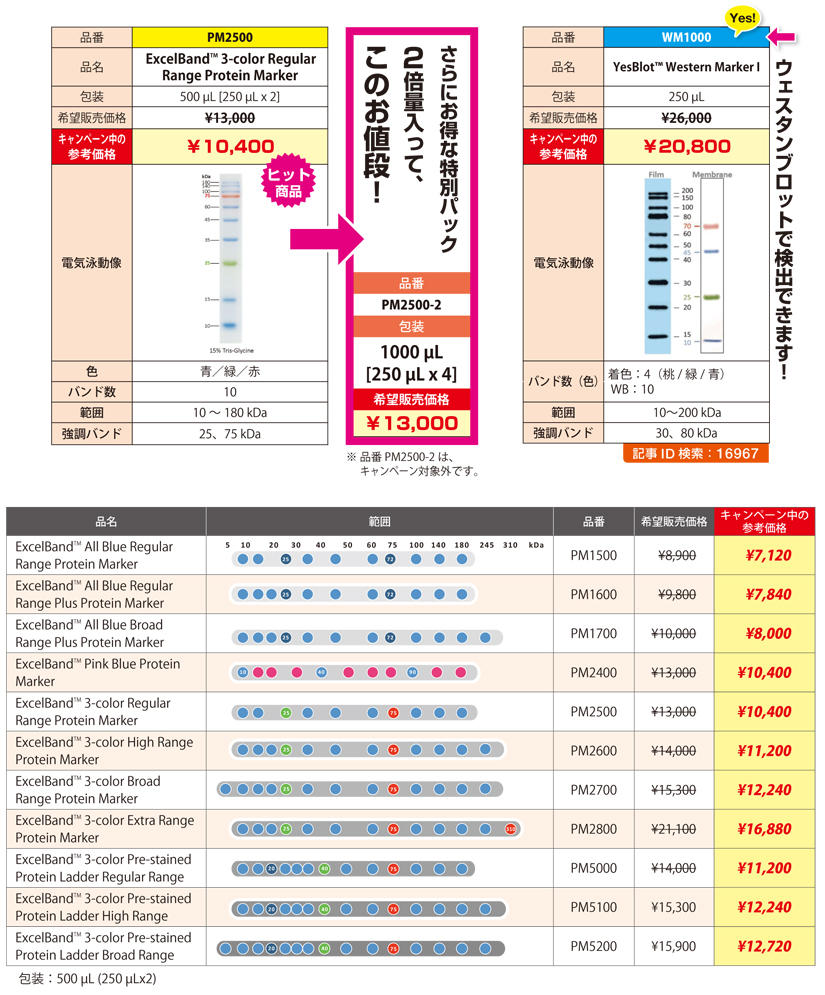 ExcelBand タンパク質分子量マーカー20%OFF!