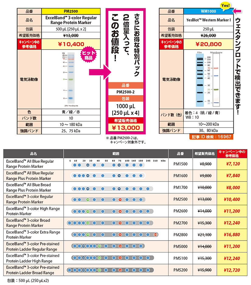 ExcelBand タンパク質分子量マーカー20%OFF!